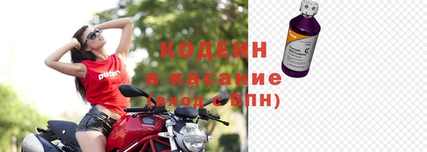 хмурый Арсеньев