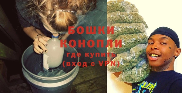 хмурый Арсеньев