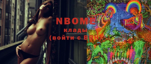хмурый Арсеньев