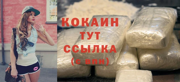 хмурый Арсеньев