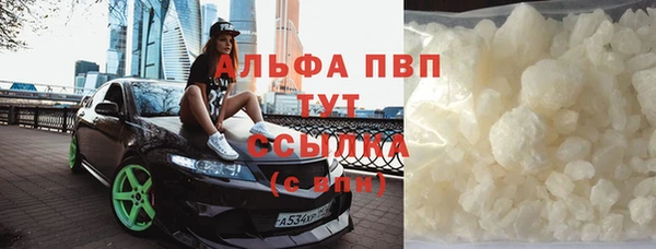 хмурый Арсеньев