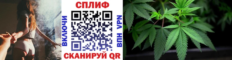 Марихуана гибрид  Белёв 